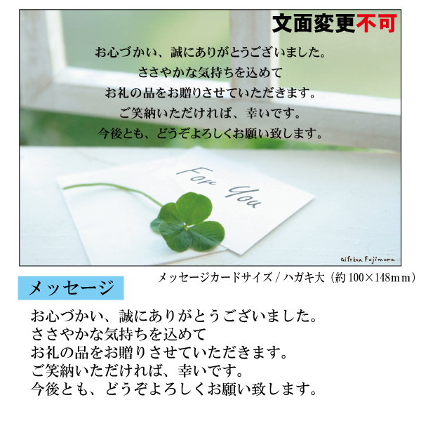 快気・御見舞返しメッセージカード【快気　Ｃ】　説明画像